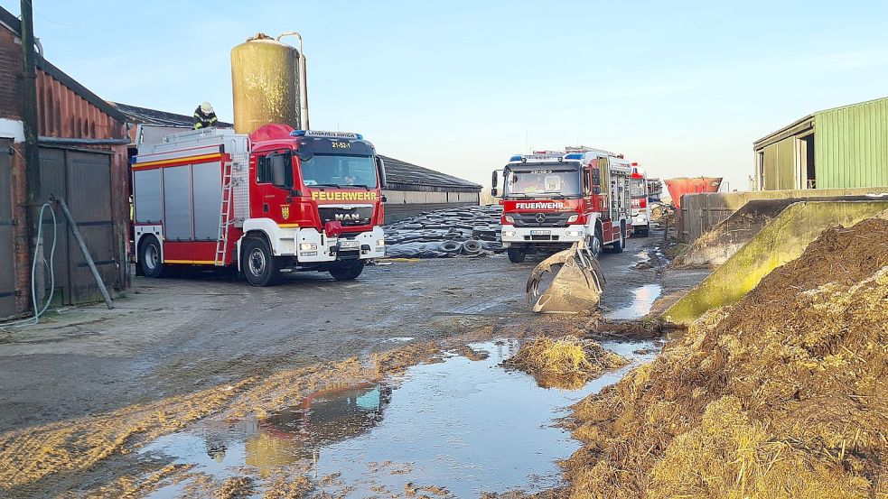 Die Feuerwehren Krummhörn-Mitte und Norden haben am Samstagmorgen eine Kuh aus einer äußerst misslichen Lage befreit. Foto: Feuerwehr Krummhörn