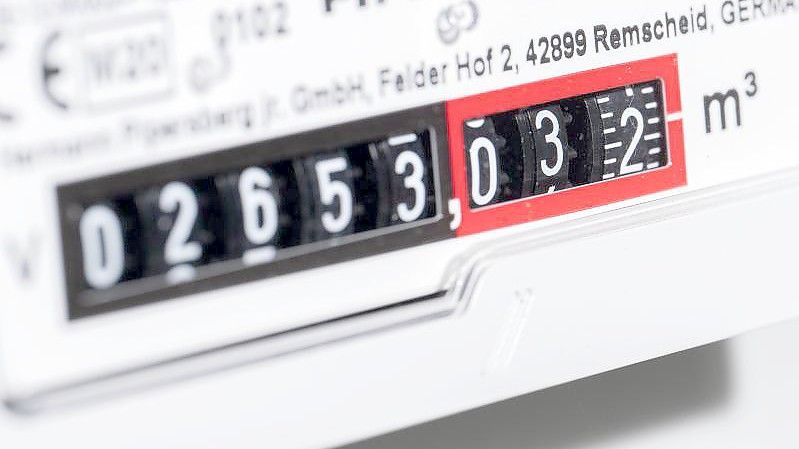 Forscher schlugen einen vorübergehenden Preisdeckel für einen „Gas-Grundbedarf“ vor. Foto: Bernd Weißbrod/dpa