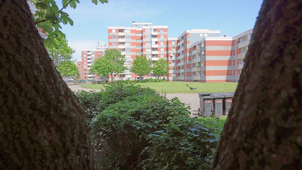Eine Blockhaussiedlung in Borssum: Hier wohnen viele zur Miete, die Kosten trägt bei Transferleistungsempfängern die Allgemeinheit. Foto: F. Doden/Archiv