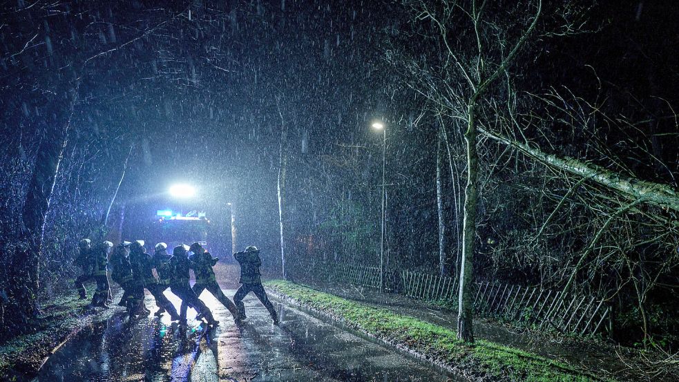 Einsatzkräfte der Freiwilligen Feuerwehr Kiel-Russee ziehen im strömenden Regen einen von Windböen umgeknickten Baum mit einem Seil auf den Boden. Foto: DPA