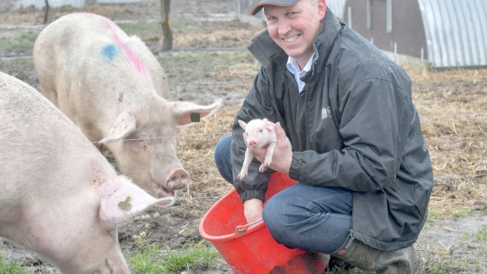 Johannes Erchinger hält seine 200 Sauen in Logabirum auf der Weide – hier fühlen sie sich auch im Winter wohl. Foto: Ortgies.