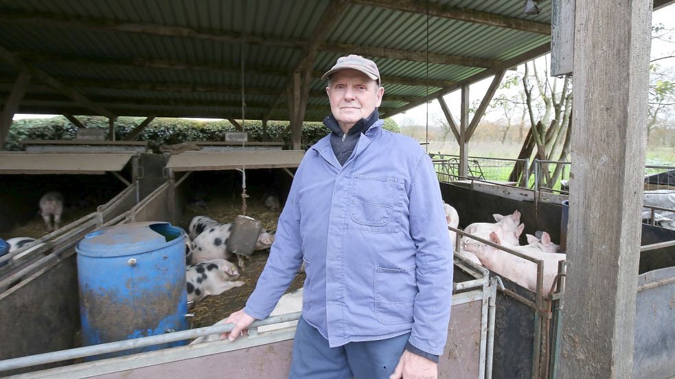 Erich Loers hat 2014 seine Schweinehaltung aufgegeben. Jetzt kümmert er sich um die Tiere von Hinrich Campen. Foto: Böning