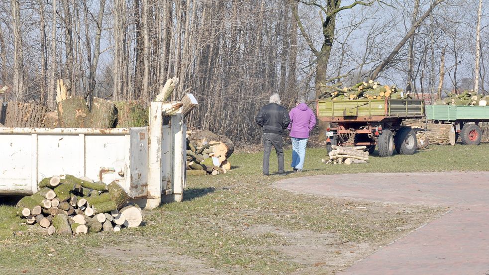 Jahr für Jahr kommen in Bentstreek mehrere Container oder Anhänger voll Holz unter den Auktionshammer. Foto: Ullrich/Archiv
