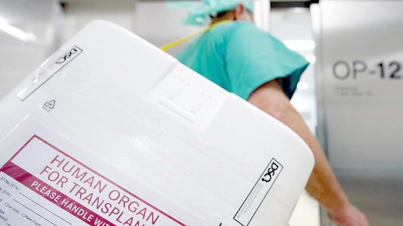 Ein Styropor-Behälter zum Transport von zur Transplantation vorgesehenen Organen. Foto: Soeren Stache/dpa