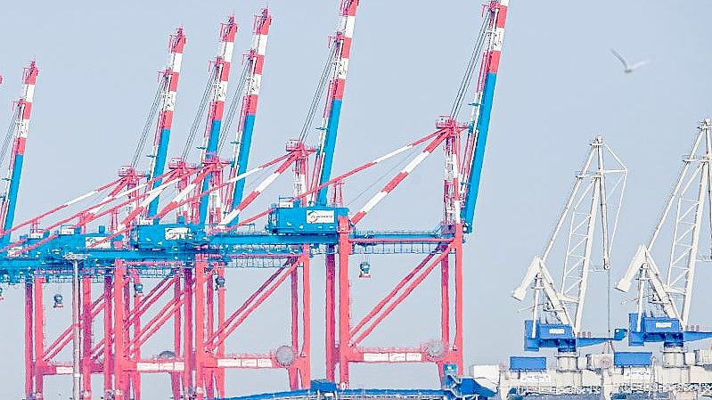 Blick auf den Jade-Weser-Port in Wilhelmshaven. Foto: Sina Schuldt/dpa