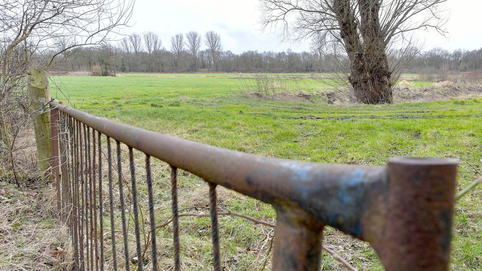 Dieses Areal zwischen Leerer Landstraße und dem Ems-Jade-Kanal soll bebaut werden. Foto: Archiv/Ortgies