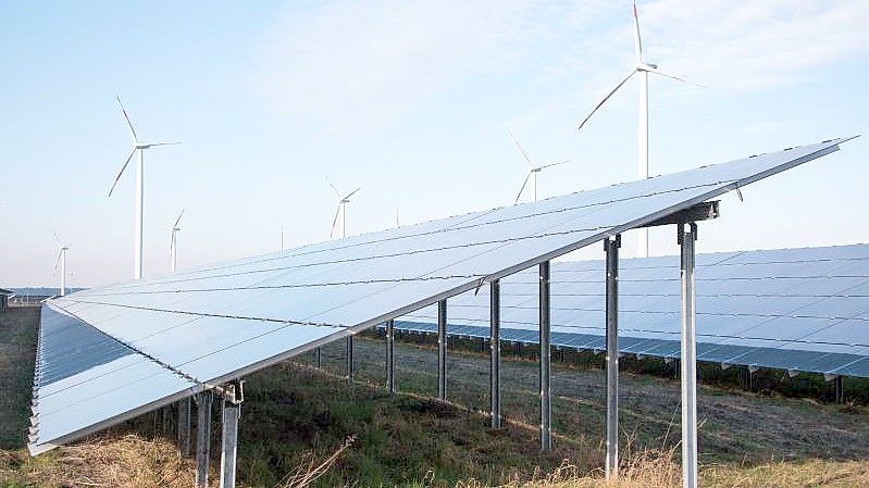 Blick auf einen Solarpark, im Hintergrund sind Windräder zu sehen. Foto: Daniel Bockwoldt/ZB/dpa