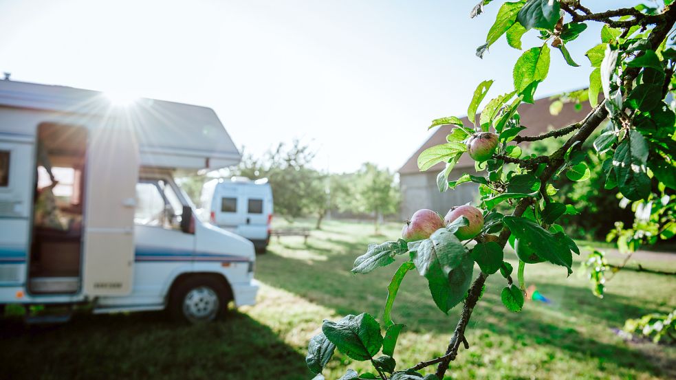Mit dem Wohnmobil auf einem Bauernhof stehen. Das ist in vielen Orten schon möglich, auch im Landkreis Leer soll es bald so weit sein. Foto: Luisenhof Landvernügen/Madlen Krippendorf