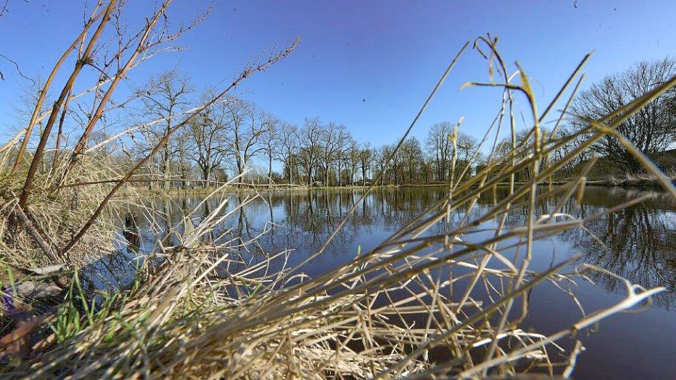 Der Schwanenteich zählt zu den beliebtesten Ausflugszielen in Emden. Bald soll ein neues Konzept für das Gelände vorgestellt werden. Foto: Ortgies