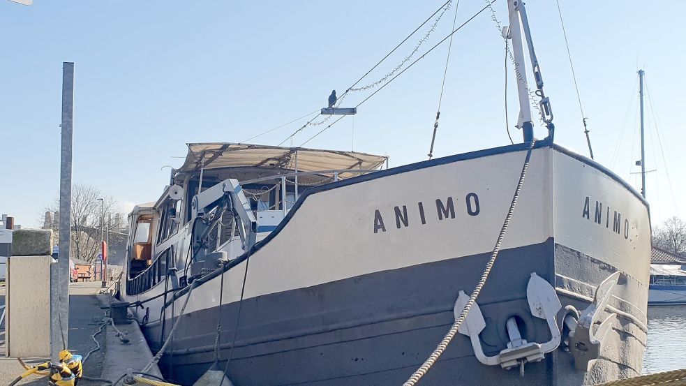 Die „Animo“ war einst das schwimmende Domizil von Catharina und Hilmar Bockhacker. Heute leben sie an Land und lassen Urlauber auf dem früheren Arbeitsschiff übernachten. Foto: Gettkowski