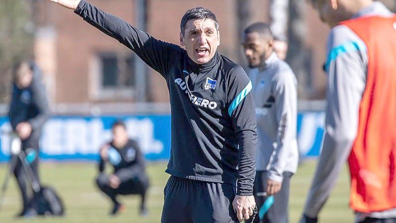 Hertha-Trainer Tayfun Korkut steht unter Erfolgsdruck. Foto: Andreas Gora/dpa