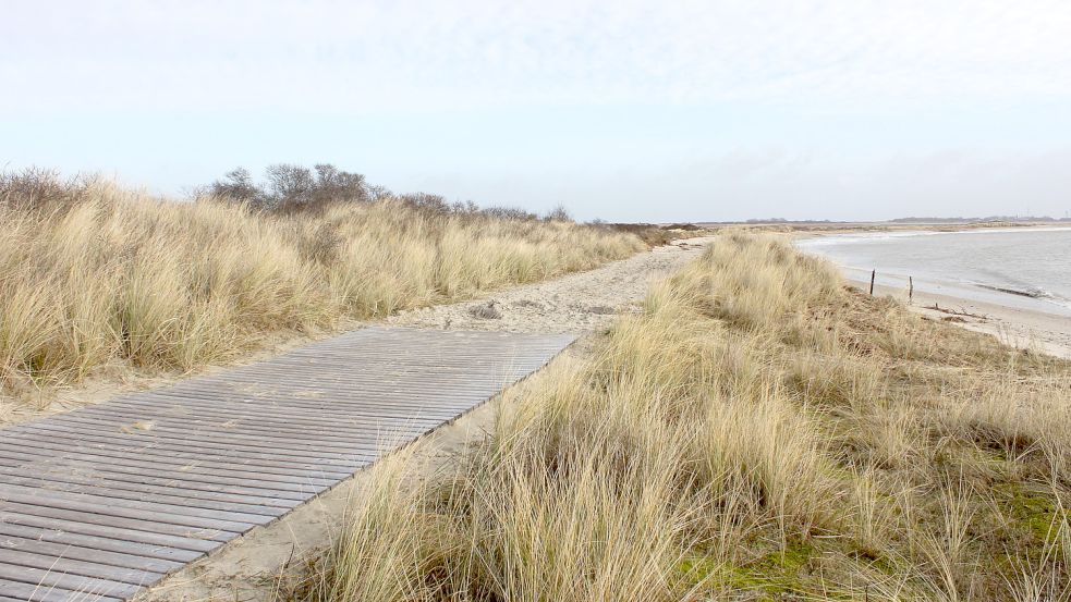 Der Loopdeelenweg hat bei dem Sturm am vergangenen Wochenende großen Schaden genommen. Fotos: Giardina