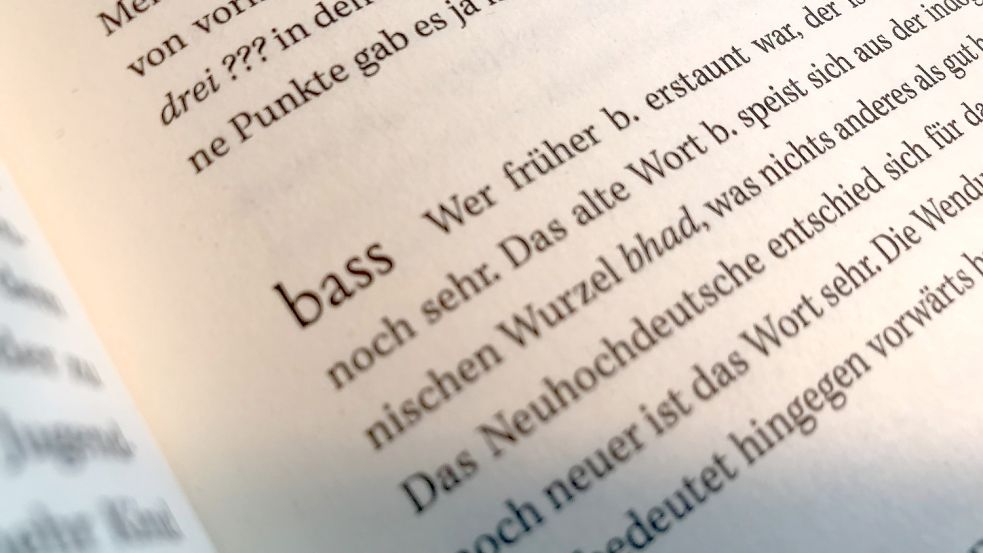Die Wörterbücher verzeichnen es noch, das Wörtchen „bass“ und seinen Verwandten „fürbass“. Foto: Stefan Lüddemann Foto: Stefan Lüddemann