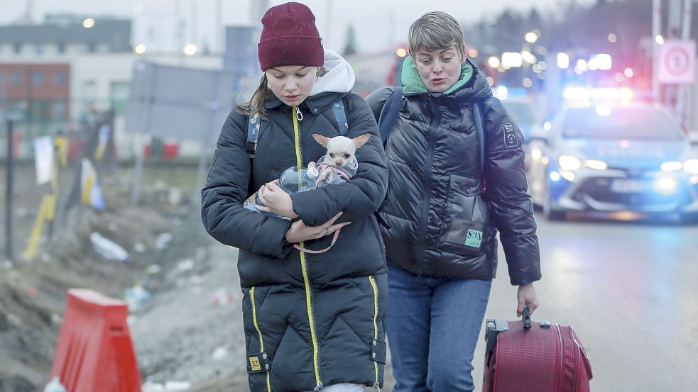 Viele Ukrainer fliehen gemeinsam mit ihren Haustieren vor dem Krieg. Foto: Visar Kryeziu/dpa