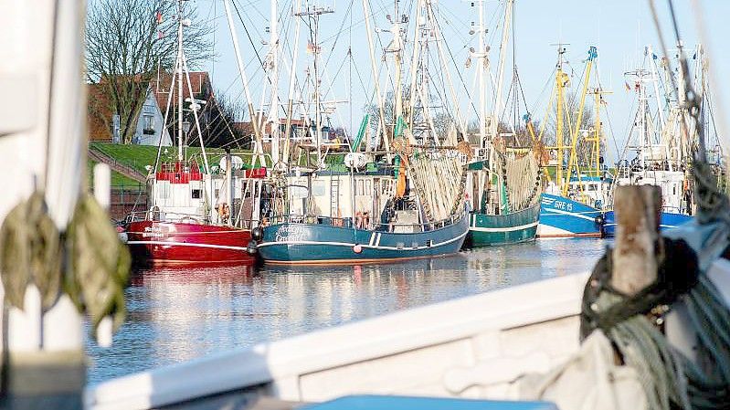 Kutter in Greetsiel: Angesichts der hohen Spritpreise bleiben die meisten Krabbenfischer erst einmal im Hafen. Foto: Hauke-Christian Dittrich/dpa