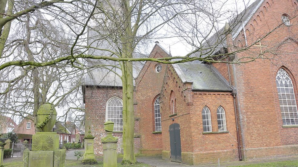 Die Rotbuche an der Lutherkirche muss gefällt werden. Dafür gibt es eine Ausnahmegenehmigung. Foto: Wolters