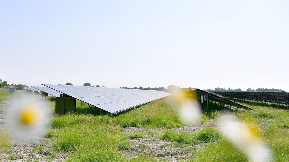 Es sieht relativ gut aus für den ersten Solar-Park in der Gemeinde Ihlow. Verwaltung und Politik ziehen an einem Strang. Foto: Archiv