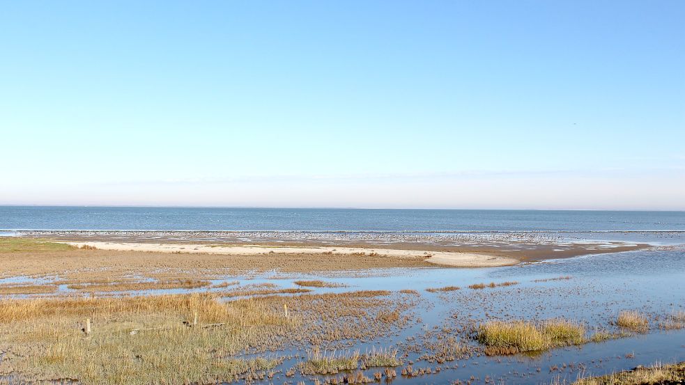 Das Biosphärenreservat soll auf die Küste ausgedehnt werden. Foto: Oltmanns