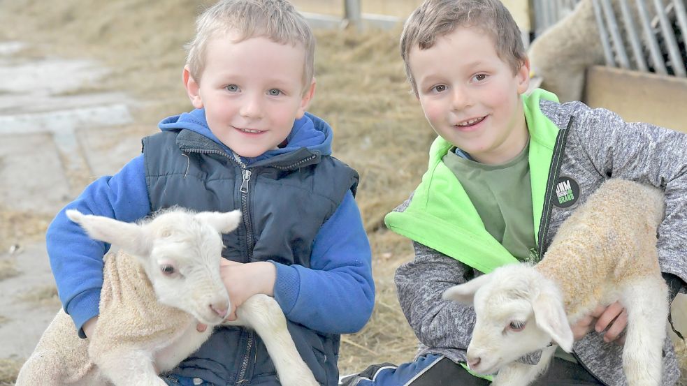 Onno (4,links) und Tjade (6) kümemrn sich um die neuen Deichlämmer. Foto: Ortgies