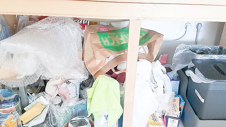 Der Unterschrank der Spüle ist ein beliebter Aufbewahrungsort für Nützliches, aber auch für Dinge, die im Weg stehen. Das zeigt dieser Blick in den Schrank eines Kunden der Ordnungsfee. Fotos: Privat