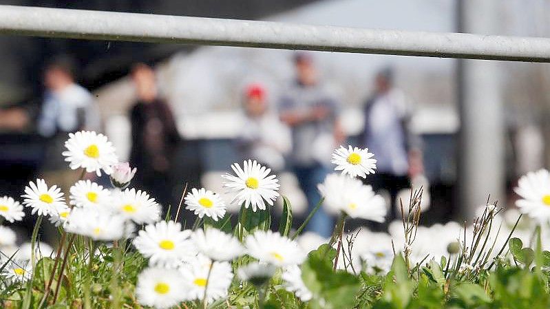 Hoch Peter bringt viel Sonne. Foto: Roland Weihrauch/dpa