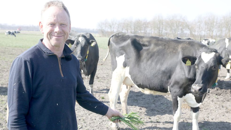 Ihno Groeneveld ist Landwirt in Emden und hat am Mittwoch seine 102 Milchkühe auf die Weide gelassen.