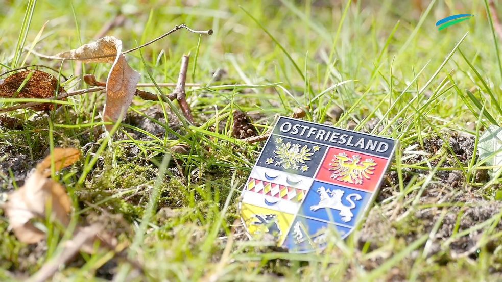 Das Ostfriesland-Wappen besteht aus sechs Einzelwappen. Foto: Keller
