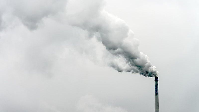 Qualm steigt aus dem Schornstein einer Fabrik. Foto: Armin Weigel/dpa
