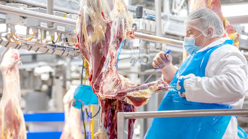 Blick in einen Rinderschlachthof: Für die Fleischherstellung wird Gas benötigt. Stellt Russland die Lieferung ein, könnte das zum Problem für die Lebensmittelbranche werden. Foto: Jörn Martens