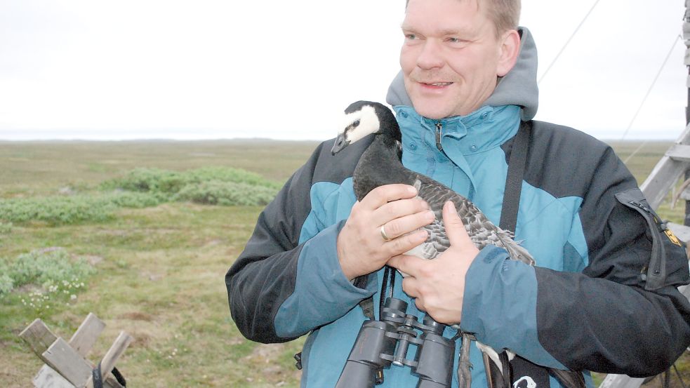 Dr. Helmut Kruckenberg ist fasziniert von den Zugvögeln. Einzeltiere wurden besendert, um mehr über ihr Zugverhalten und ihre Aufenthaltsorte zu erfahren. Foto: Kruckenberg