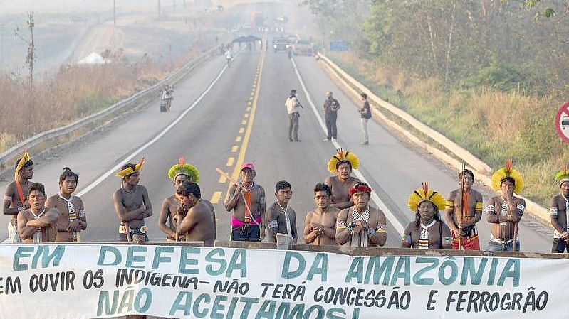„Zur Verteidigung der Amzazonas“ steht auf dem Banner: Mitglieder der indigenen Gemeinschaft der Kayapo protestieren zum Schutz ihres Landes. Foto: Andre Penner/AP/dpa