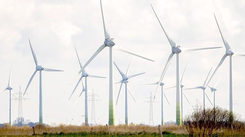 Zahlreiche Windkraftanlagen stehen auf Feldern im Landkreis Aurich. Foto: Hauke-Christian Dittrich/dpa