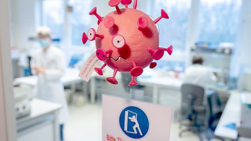 Eine Figur in der Form eines Virus hängt an der Tür vom PCR-Labor im Niedersächsischen Landesgesundheitsamt (NLGA). Foto: Julian Stratenschulte/dpa