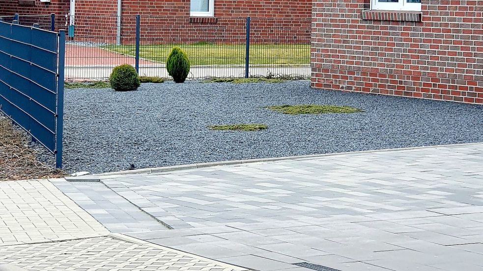 Viele Vorgärten in Norden sehen mittlerweile aus wie Schotterpisten. Foto: Rebecca Kresse