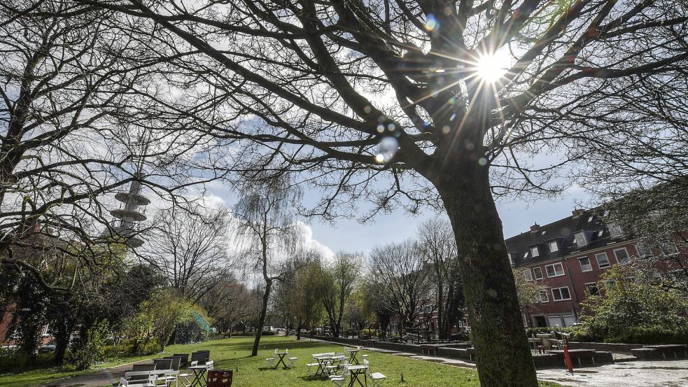 Der Stephansplatz in der Innenstadt zieht Emderinnen und Emder wegen des Abenteuerspielplatzes, der Wiesen und des Cafés an. Foto: Ortgies