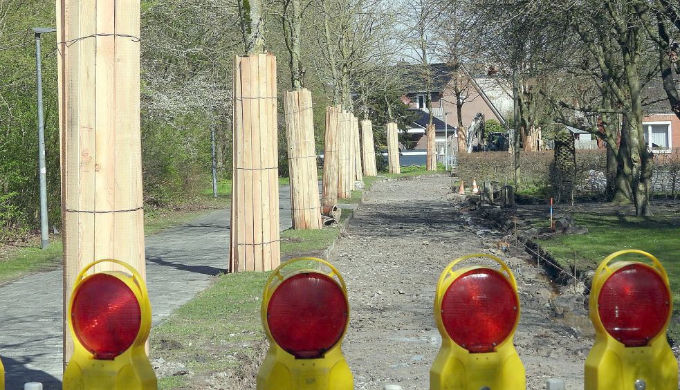 In der Hermann-Löns-Straße laufen die Bauarbeiten im ersten Abschnitt. Die Bäume auf dem Grünstreifen, der die Fahrbahn und den Fußweg trennt, sind verkleidet worden, damit sie geschützt sind. Foto: F. Doden
