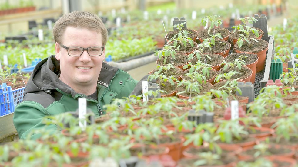 Noch wachsen bei Heiko Freese Salat und andere frühe Kulturpflanzen wie Spinat im Gewächshaus. Für die Aussaat ins Freiland war es in den vergangenen Tagen noch viel zu kalt. Foto: Ortgies