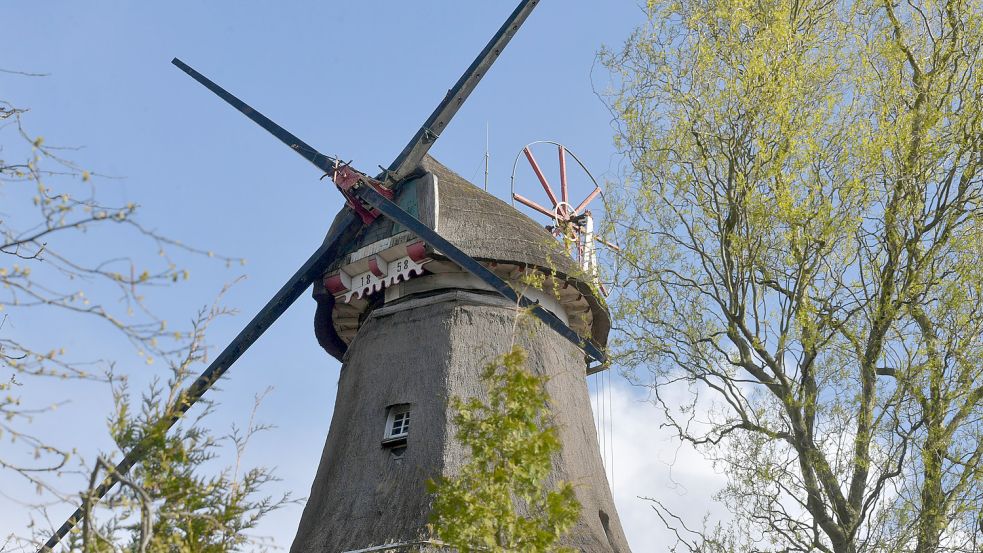 Stillstehende Flügel ohne Klappen: Die Stiftsmühle bietet derzeit einen eher traurigen Anblick. Foto: Ortgies