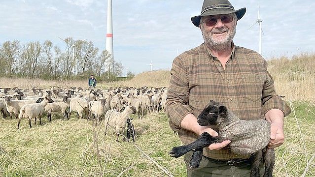 Schon als Kind hatte Alfred Straubinger den Traum, eines Tages Schafe auf dem Deich in Ostfriesland zu halten. Vor 40 Jahren setzte der aus Passau stammende Bayer sein Vorhaben in die Tat um. Inzwischen leitet sein Sohn René den Betrieb. Foto: Tomé