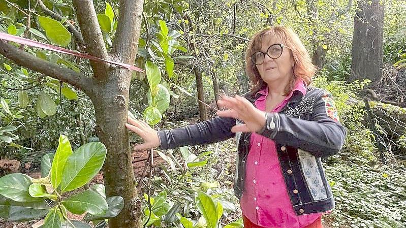April Sampson-Kelly steht inmitten ihrer „Silk Farm“ im australischen Mount Kembla, einem sogenannten „Food Forest“ oder Ernährungs-Garten, der nach den Prinzipien der Permakultur-Lehre angelegt wurde. Foto: Michelle Ostwald/dpa
