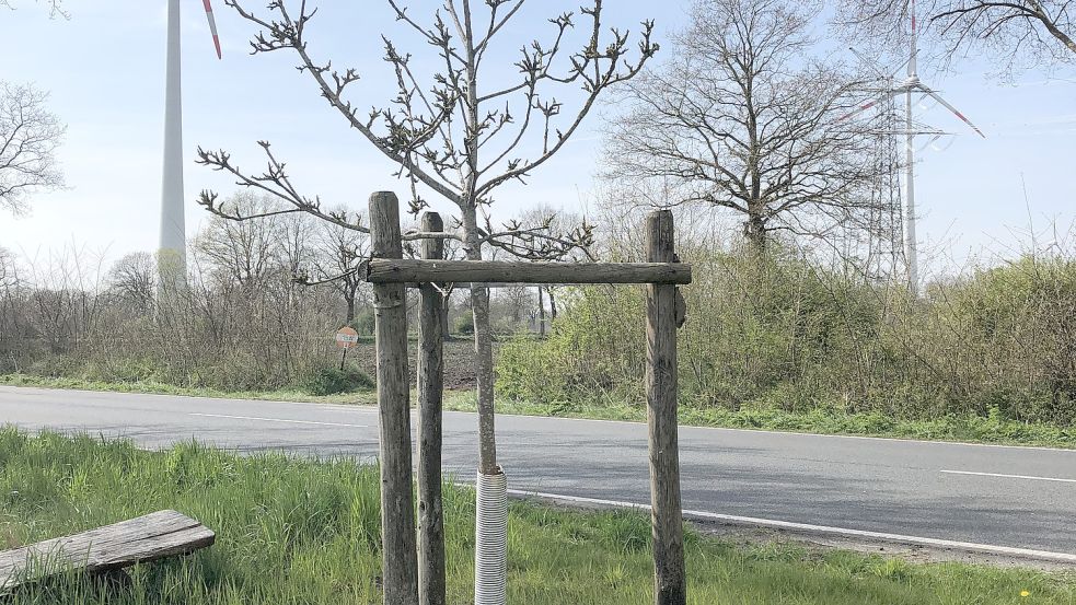 Der Biggenboom direkt an der Bundesstraße. Foto: Keller