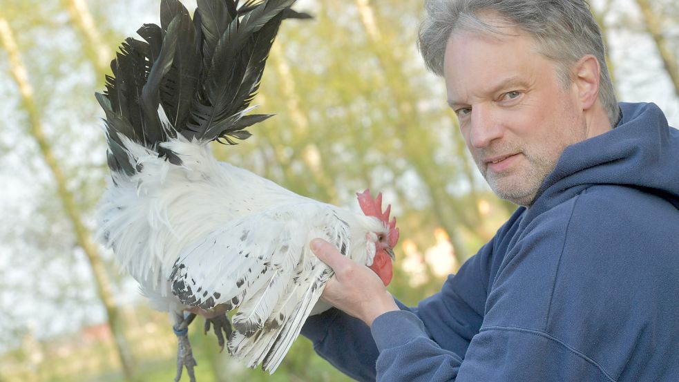 Harald Akkermann ist leidenschaftlicher Hühnerzüchter. Die Rasse der „Ostfriesische Möwen“ hat er von seinem Großvater übernommen. Foto: Ortgies