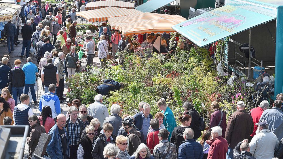 Zum Geranienmarkt strömen stets Menschenmassen auf den Auricher Marktplatz. Aus diesem Anlass dürfen auch die Geschäfte in der Innenstadt von 13 bis 18 Uhr öffnen. Foto: Archiv/Ortgies