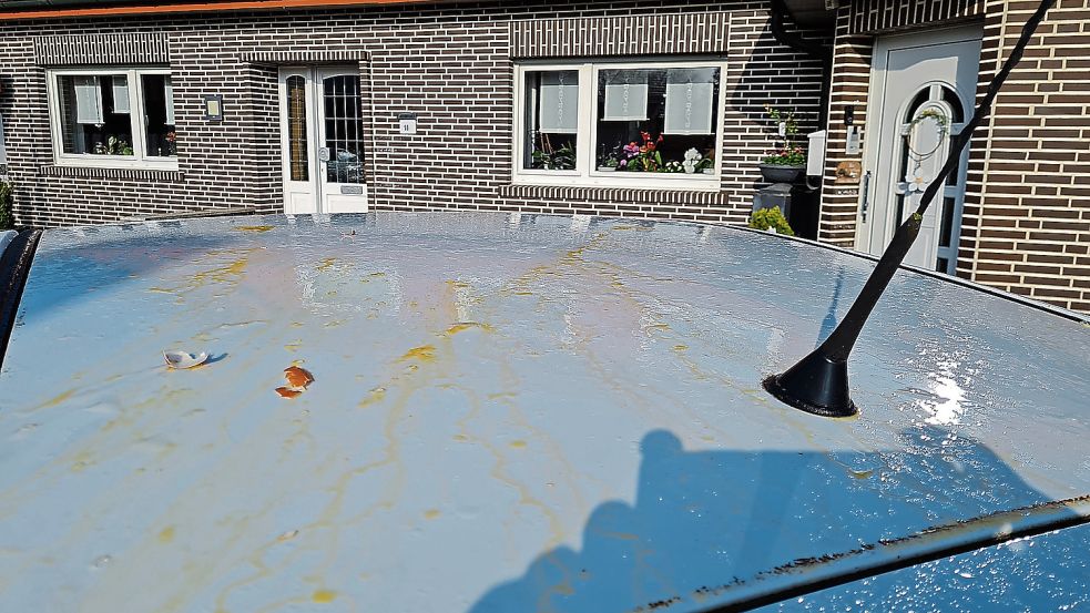 Vier Stunden lang hat André Klaß Haus und Auto gereinigt. Fotos: Moormann/Privat