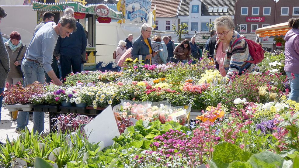 Zahlreiche Besucher kamen schon am Vormittag zum Geranienmarkt nach Aurich. Außer einer großen Auswahl an Pflanzen gab es die passenden Tipps von den Mitarbeitern der Gärtnereien. Foto: Mühring