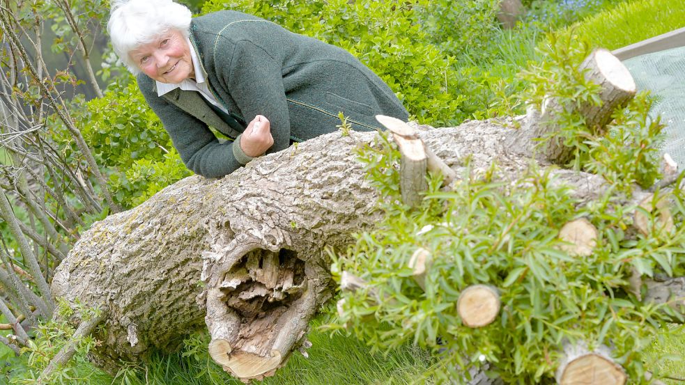 Marianne Neumann mit dem Rest des umgestürzten Baums: Er treibt noch grünes Laub aus. Fotos: Ortgies