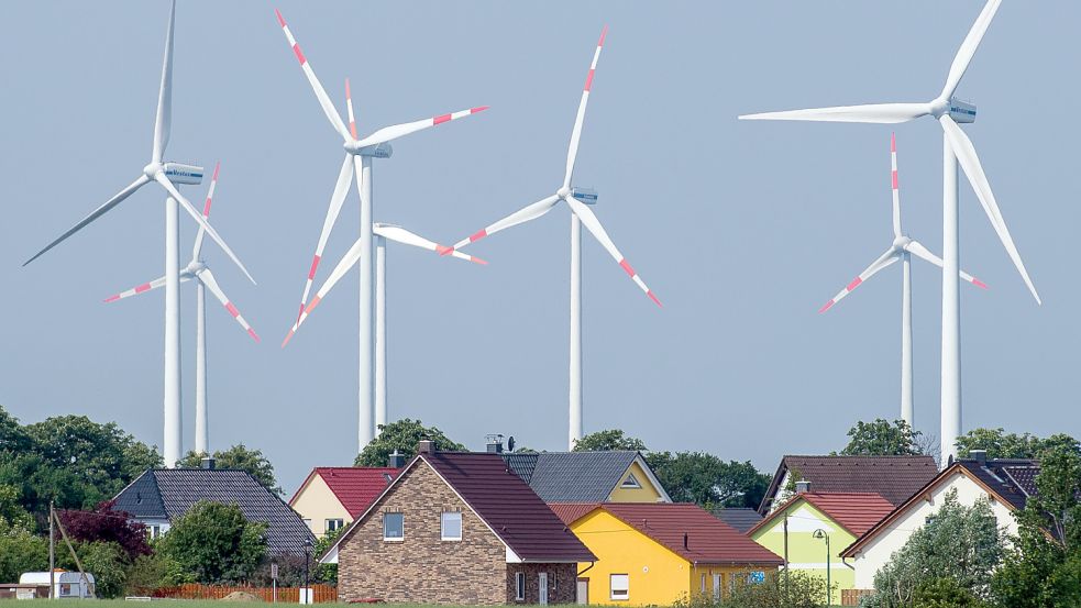 Um nachhaltiges Handeln geht es im Wettbewerb. Symbolbild: Pleul/DPA