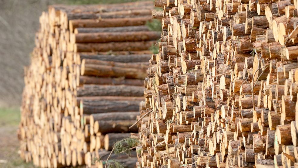 Die gestiegenen Energiepreise und der Ukraine-Krieg haben die Nachfrage nach Kaminholz in Deutschland ansteigen lassen. Die Folge: das Brenngut wird immer teurer. Foto: Soeren Stache/dpa