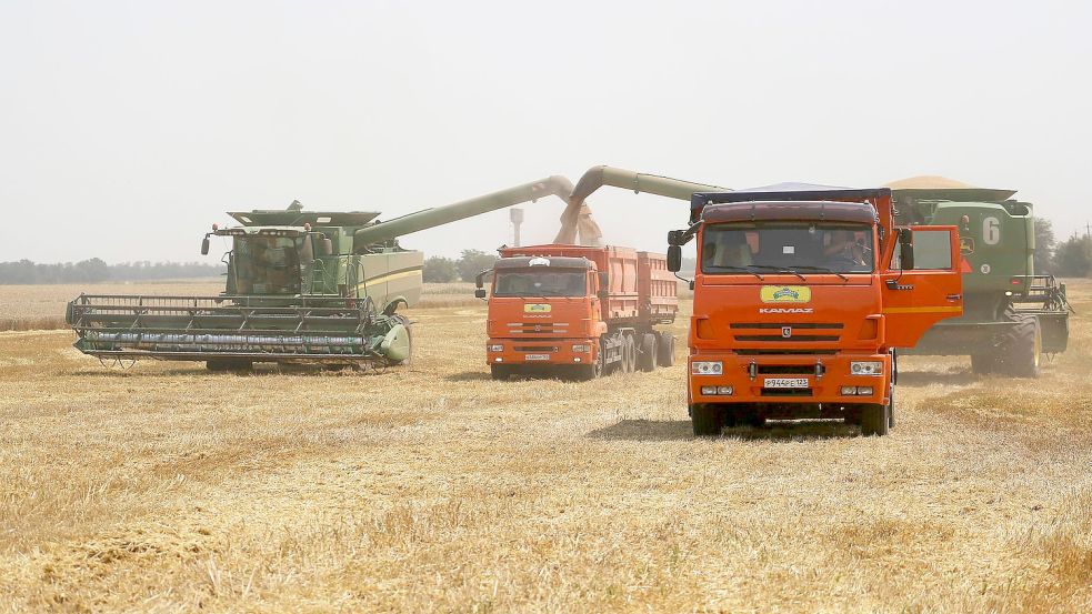 Landwirte ernten mit ihren Mähdreschern Weizen auf einem Weizenfeld in der Region Krasnodar im Südwesten Russlands. Foto: Vitaly Timkiv/AP/dpa
