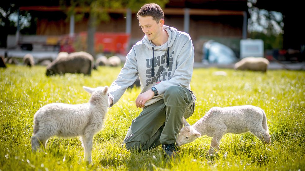 Zwei Lämmer begrüßen Daniel Caspers auf einer Weide. Rund 200 Schafe werden auf dem Johannshof gehalten. Fotos: Cordsen